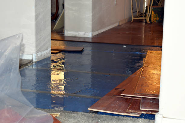 Professional Sewage Cleanup technician working in Oakham, MA